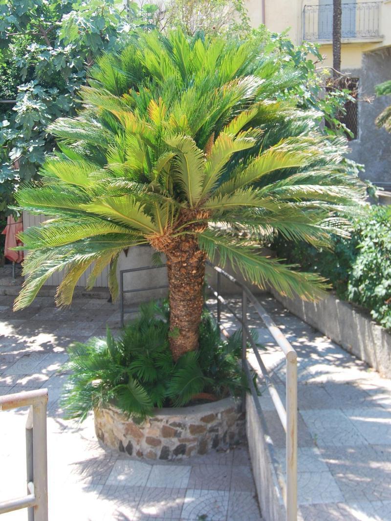 Hotel San Giuseppe - Cityhotel Catanzaro Kültér fotó